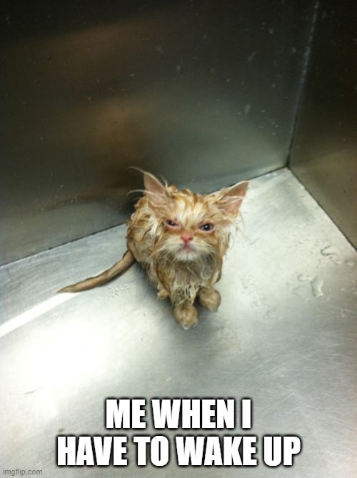 I don't want to. | ME WHEN I HAVE TO WAKE UP | image tagged in memes,kill you cat | made w/ Imgflip meme maker