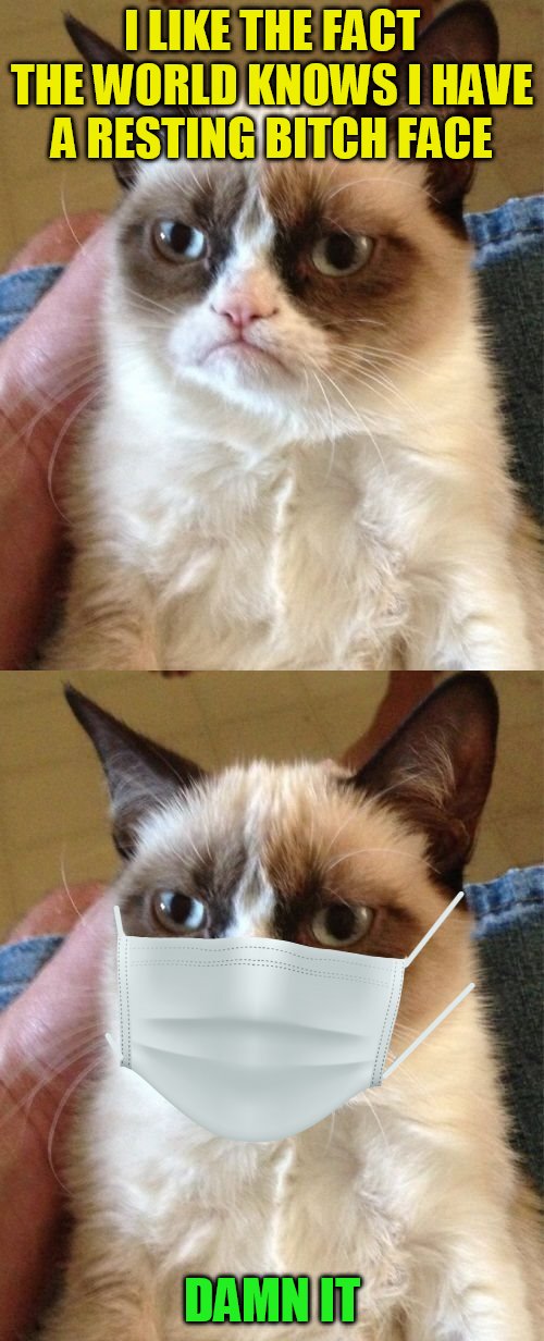 Grumpy cat | I LIKE THE FACT THE WORLD KNOWS I HAVE A RESTING BITCH FACE; DAMN IT | image tagged in memes,mask,grumpy cat | made w/ Imgflip meme maker