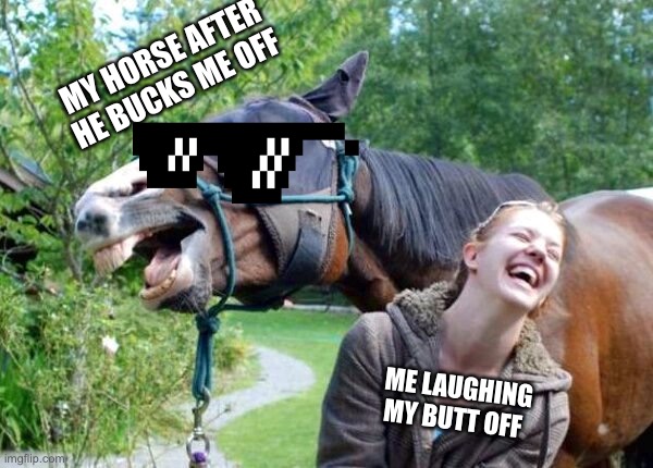True Story! | MY HORSE AFTER HE BUCKS ME OFF; ME LAUGHING MY BUTT OFF | image tagged in laughing horse | made w/ Imgflip meme maker