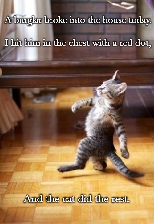 Cool Cat Stroll Meme | A burglar broke into the house today. I hit him in the chest with a red dot, And the cat did the rest. | image tagged in memes,cool cat stroll | made w/ Imgflip meme maker