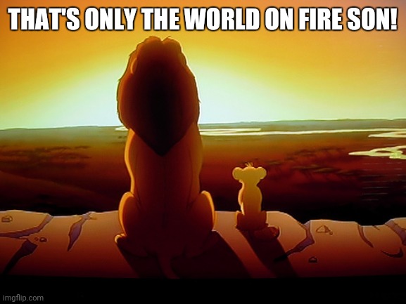 Lion King | THAT'S ONLY THE WORLD ON FIRE SON! | image tagged in memes,lion king | made w/ Imgflip meme maker