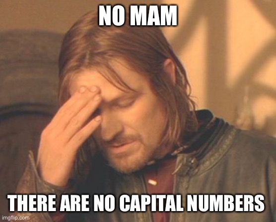 capital numbers | NO MAM; THERE ARE NO CAPITAL NUMBERS | image tagged in memes,frustrated boromir,customer service,funny memes | made w/ Imgflip meme maker