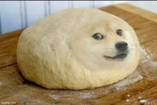 dough doge | image tagged in dough doge | made w/ Imgflip meme maker