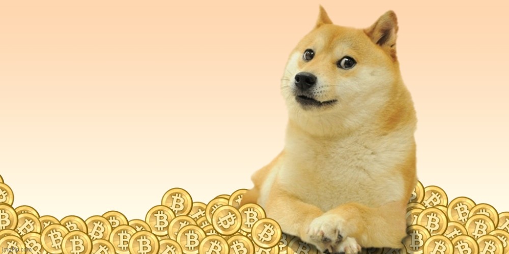 Doge Coin | image tagged in doge coin | made w/ Imgflip meme maker