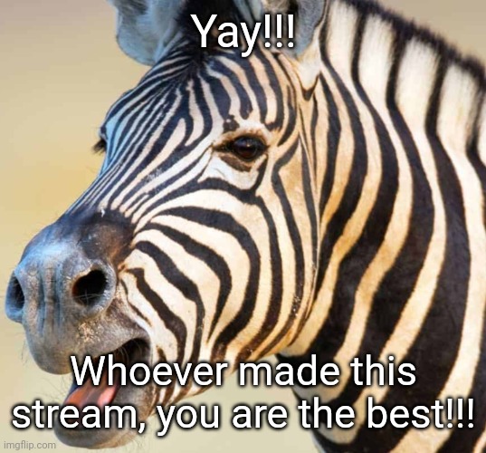Happy Zebra | Yay!!! Whoever made this stream, you are the best!!! | image tagged in happy zebra | made w/ Imgflip meme maker