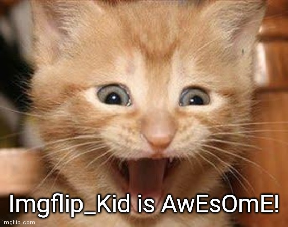 Excited Cat | Imgflip_Kid is AwEsOmE! | image tagged in memes,excited cat | made w/ Imgflip meme maker