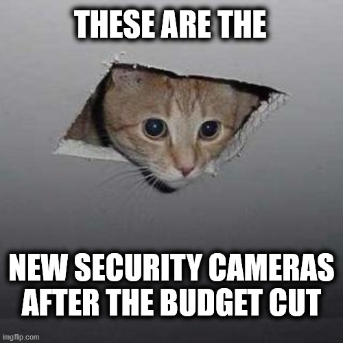 Defund the Police took a strange turn | THESE ARE THE; NEW SECURITY CAMERAS AFTER THE BUDGET CUT | image tagged in memes,ceiling cat | made w/ Imgflip meme maker