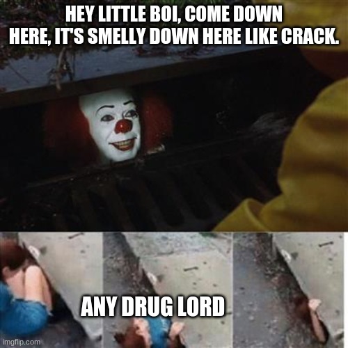 Real Drug lords | HEY LITTLE BOI, COME DOWN HERE, IT'S SMELLY DOWN HERE LIKE CRACK. ANY DRUG LORD | image tagged in pennywise in sewer,memes,funny,pennywise the dancing clown | made w/ Imgflip meme maker
