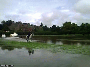 Horse water-skiing