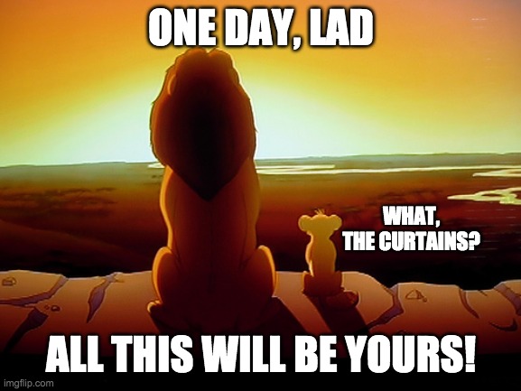 Simba and the Holy Grail | ONE DAY, LAD; WHAT, THE CURTAINS? ALL THIS WILL BE YOURS! | image tagged in memes,lion king,what the curtains,all this will be yours,monty python and the holy grail | made w/ Imgflip meme maker