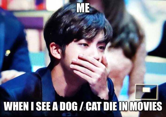 bts | ME; WHEN I SEE A DOG / CAT DIE IN MOVIES | image tagged in bts | made w/ Imgflip meme maker
