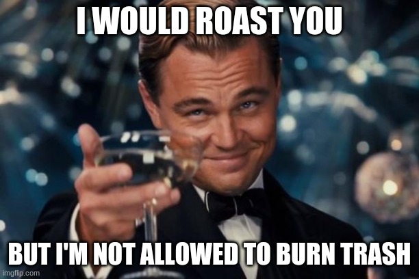 Leonardo Dicaprio Cheers | I WOULD ROAST YOU; BUT I'M NOT ALLOWED TO BURN TRASH | image tagged in memes,leonardo dicaprio cheers | made w/ Imgflip meme maker