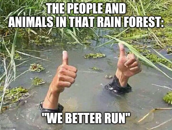 Drowning Thumbs Up | THE PEOPLE AND ANIMALS IN THAT RAIN FOREST: "WE BETTER RUN" | image tagged in drowning thumbs up | made w/ Imgflip meme maker