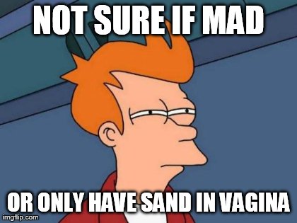 Futurama Fry Meme | NOT SURE IF MAD OR ONLY HAVE SAND IN VAGINA | image tagged in memes,futurama fry | made w/ Imgflip meme maker