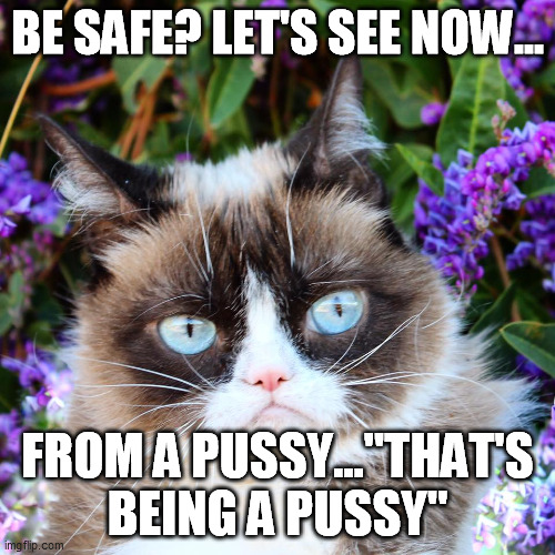 Pussy Cat Imgflip