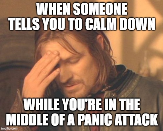 Frustrated Boromir | WHEN SOMEONE TELLS YOU TO CALM DOWN; WHILE YOU'RE IN THE MIDDLE OF A PANIC ATTACK | image tagged in memes,frustrated boromir | made w/ Imgflip meme maker