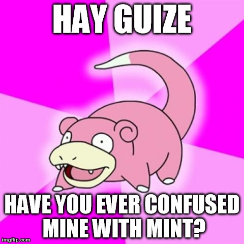 Slowpoke Meme | HAY GUIZE HAVE YOU EVER CONFUSED MINE WITH MINT? | image tagged in memes,slowpoke | made w/ Imgflip meme maker