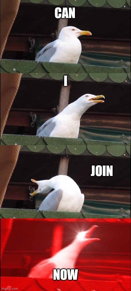 I want in | CAN; I; JOIN; NOW | image tagged in memes,inhaling seagull | made w/ Imgflip meme maker