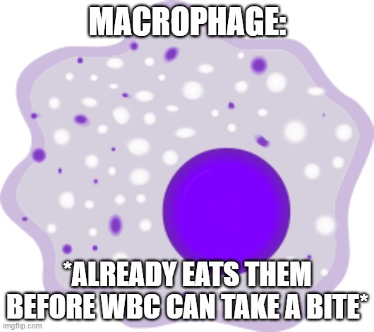 https://imgflip.com/i/4cj26l#com5590816 | MACROPHAGE:; *ALREADY EATS THEM BEFORE WBC CAN TAKE A BITE* | image tagged in macrophage | made w/ Imgflip meme maker