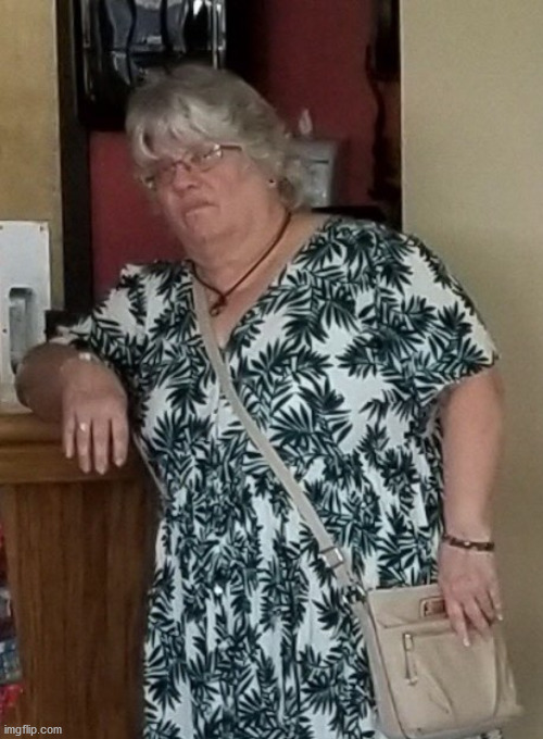 disapproving mother in law | image tagged in disapproving mother