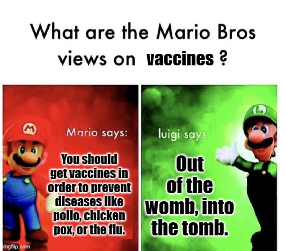 I don't know if this has been done before, but here you go. | vaccines; You should get vaccines in order to prevent diseases like polio, chicken pox, or the flu. Out of the womb, into the tomb. | image tagged in memes,mario bros views,mario,luigi,vaccines | made w/ Imgflip meme maker