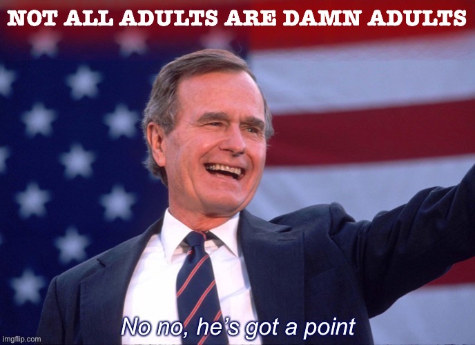 #NotAllAdults. Just the damn ones. | NOT ALL ADULTS ARE DAMN ADULTS | image tagged in george h w bush no no he s got a point,damn,adults,respect,getting respect giving respect,hashtag | made w/ Imgflip meme maker