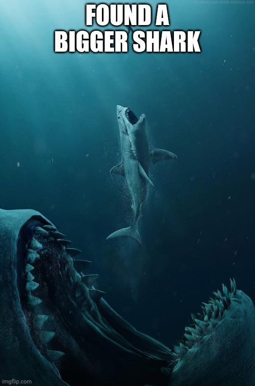 FOUND A BIGGER SHARK | image tagged in megalodon | made w/ Imgflip meme maker