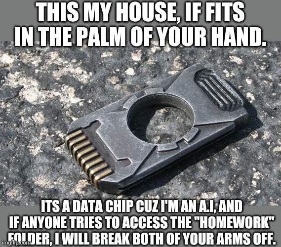 My House, its literally like 7cm long. | THIS MY HOUSE, IF FITS IN THE PALM OF YOUR HAND. ITS A DATA CHIP CUZ I'M AN A.I, AND IF ANYONE TRIES TO ACCESS THE "HOMEWORK" FOLDER, I WILL BREAK BOTH OF YOUR ARMS OFF. | image tagged in church | made w/ Imgflip meme maker
