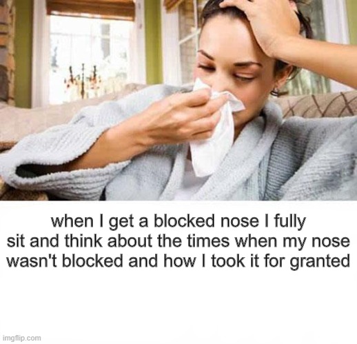 Stuffy Nose | when I get a blocked nose I fully sit and think about the times when my nose wasn't blocked and how I took it for granted | image tagged in flu,colds,stuffy nose,headache | made w/ Imgflip meme maker