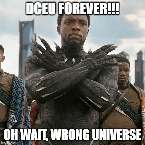 LOL | DCEU FOREVER!!! OH WAIT, WRONG UNIVERSE | image tagged in wakanda forever,memes,funny,black panther,dceu forever,movies | made w/ Imgflip meme maker