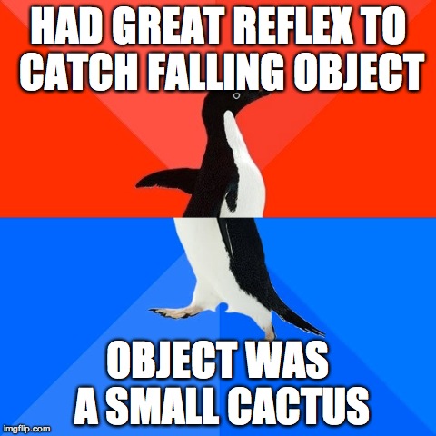 Socially Awesome Awkward Penguin Meme | HAD GREAT REFLEX TO CATCH FALLING OBJECT OBJECT WAS A SMALL CACTUS | image tagged in memes,socially awesome awkward penguin | made w/ Imgflip meme maker