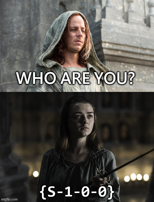 Who are you? Nobody. | WHO ARE YOU? {S-1-0-0} | image tagged in nerd,windows,nobody,game of thrones,arya stark | made w/ Imgflip meme maker