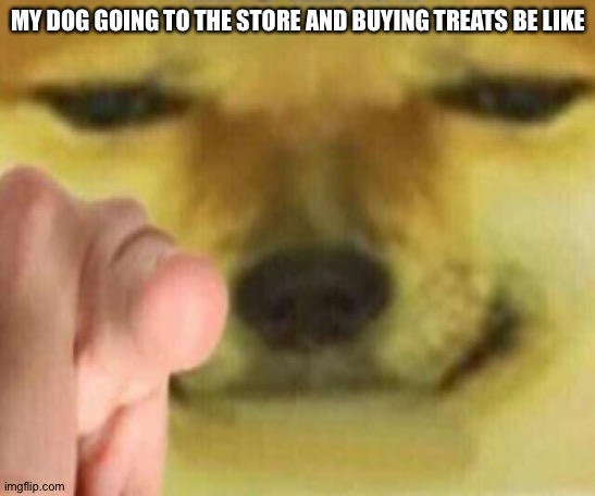 Cheems Pointing At You | MY DOG GOING TO THE STORE AND BUYING TREATS BE LIKE | image tagged in cheems pointing at you | made w/ Imgflip meme maker