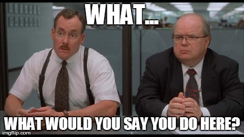 WHAT... WHAT WOULD YOU SAY YOU DO HERE? | image tagged in office space,AdviceAnimals | made w/ Imgflip meme maker
