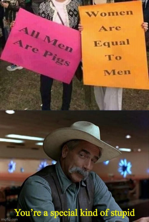Pigs = men = women | You’re a special kind of stupid | image tagged in special kind of stupid,pigs,women,men,funny,memes | made w/ Imgflip meme maker