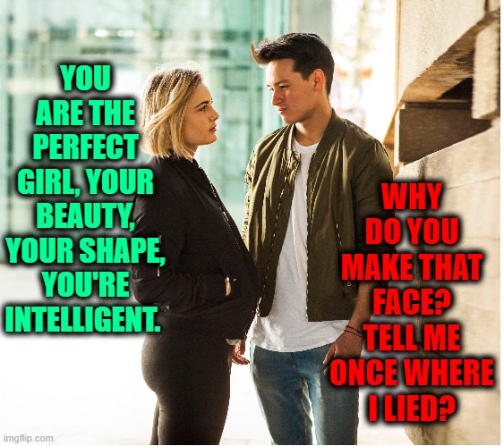The Impossibility of Making Your Girl Smile When She's Mad at You | WHY DO YOU MAKE THAT FACE? TELL ME ONCE WHERE
I LIED? YOU ARE THE PERFECT GIRL, YOUR
BEAUTY, YOUR SHAPE, YOU'RE INTELLIGENT. | image tagged in vince vance,girls,pleasing,angry woman,memes,battle of the sexes | made w/ Imgflip meme maker