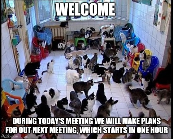 Better living through bureaucracy | WELCOME; DURING TODAY'S MEETING WE WILL MAKE PLANS FOR OUT NEXT MEETING, WHICH STARTS IN ONE HOUR | image tagged in crazy cat lady,better living,bureaucracy,herding cats,more meetings please,pay attention | made w/ Imgflip meme maker