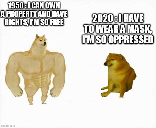 Strong dog vs weak dog | 1950 : I CAN OWN A PROPERTY AND HAVE RIGHTS, I'M SO FREE; 2020 : I HAVE TO WEAR A MASK, I'M SO OPPRESSED | image tagged in strong dog vs weak dog | made w/ Imgflip meme maker