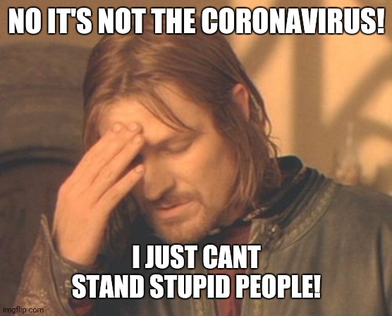 Frustrated Boromir | NO IT'S NOT THE CORONAVIRUS! I JUST CANT STAND STUPID PEOPLE! | image tagged in memes,frustrated boromir | made w/ Imgflip meme maker