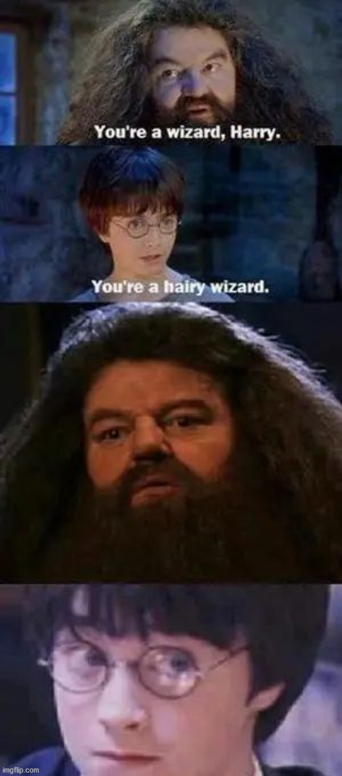 How the tables have turned | image tagged in harry potter,hagrid,you're a wizard harry | made w/ Imgflip meme maker
