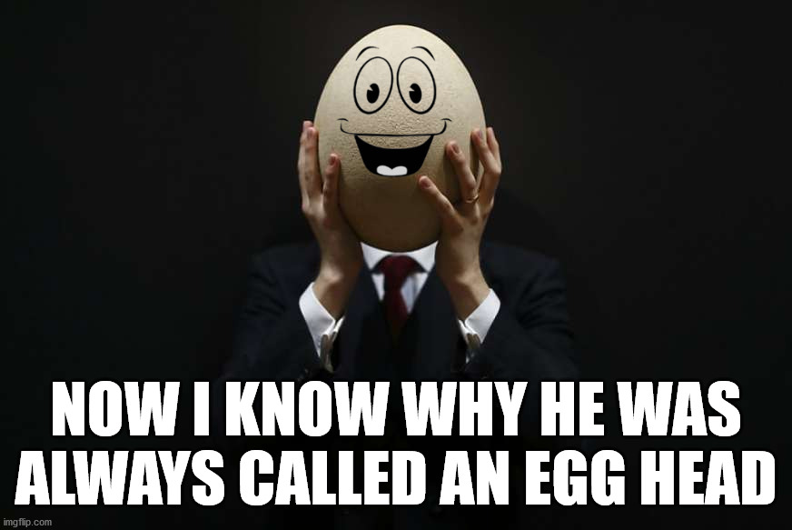Waiting for you crack up | NOW I KNOW WHY HE WAS ALWAYS CALLED AN EGG HEAD | image tagged in egg,head,bad pun | made w/ Imgflip meme maker