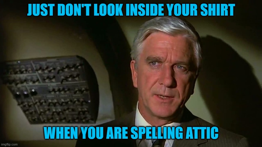 Airplane! | JUST DON'T LOOK INSIDE YOUR SHIRT; WHEN YOU ARE SPELLING ATTIC | image tagged in airplane | made w/ Imgflip meme maker