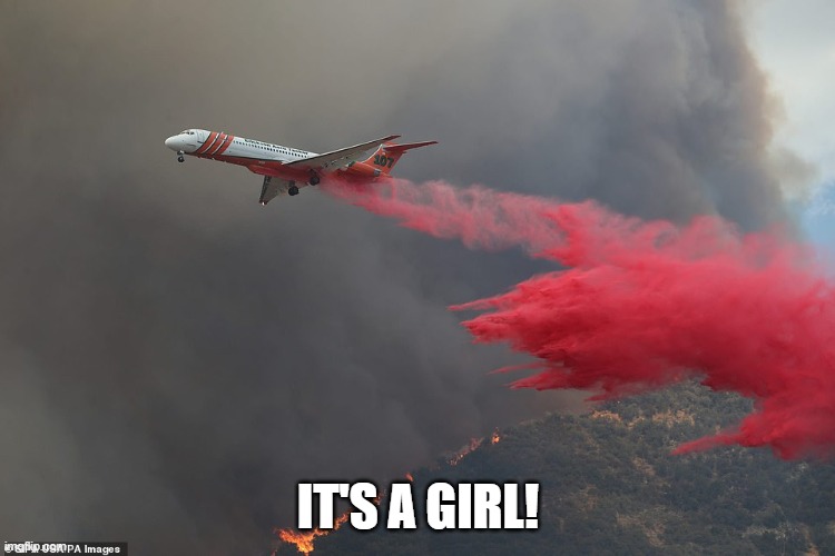 FIREFIGHTING AIRPLANE | IT'S A GIRL! | image tagged in gender reveal,fire plane,firefighting,disaster,baby shower | made w/ Imgflip meme maker