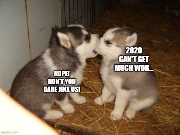 Don't Jinx 2020 | 2020 CAN'T GET MUCH WOR... NOPE! DON'T YOU DARE JINX US! | image tagged in memes,cute puppies | made w/ Imgflip meme maker