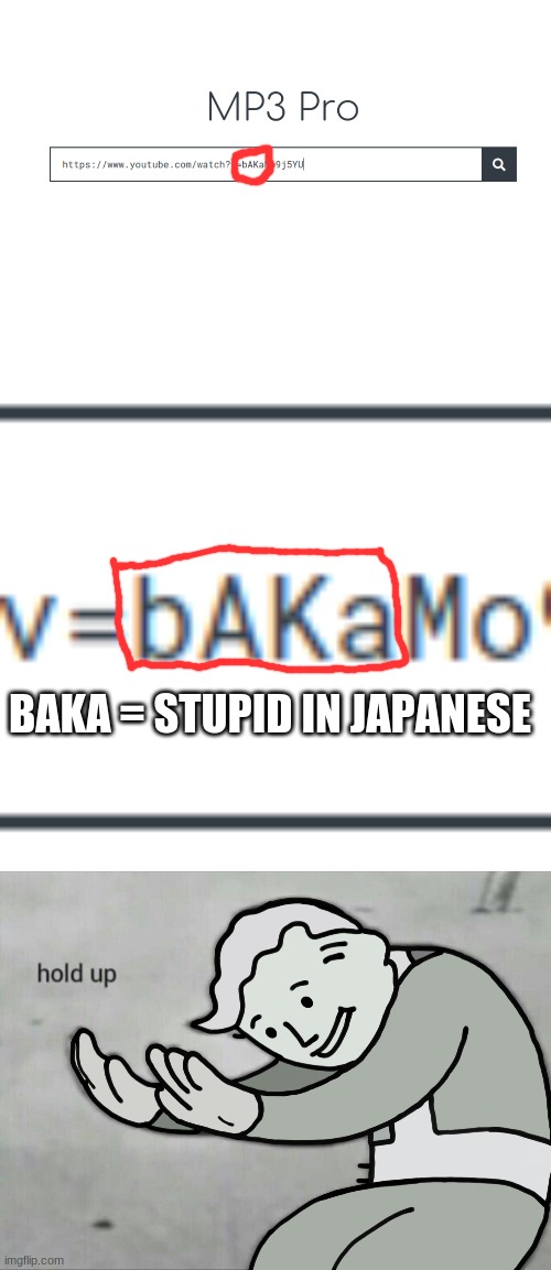 Look What I See While Converting | BAKA = STUPID IN JAPANESE | image tagged in fallout hold up,japanese | made w/ Imgflip meme maker