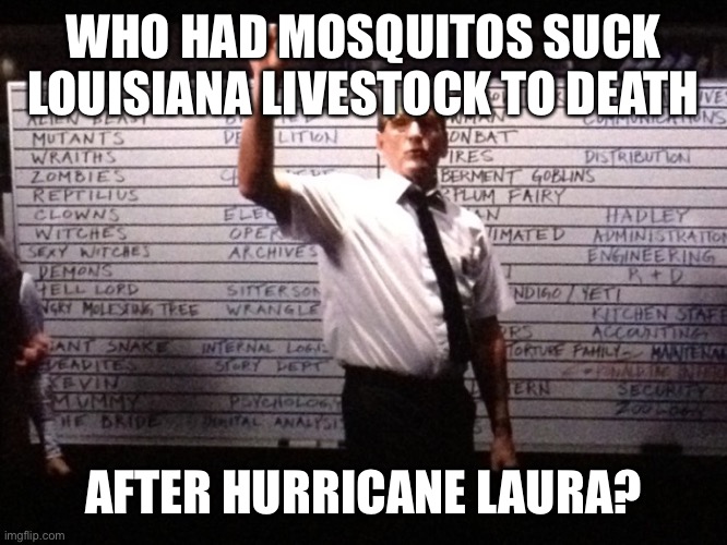 Mosquitos suck Louisiana livestock to death after hurricane Laura | WHO HAD MOSQUITOS SUCK LOUISIANA LIVESTOCK TO DEATH; AFTER HURRICANE LAURA? | image tagged in who had x for y,mosquitos kill livestock,hurricane,louisiana | made w/ Imgflip meme maker
