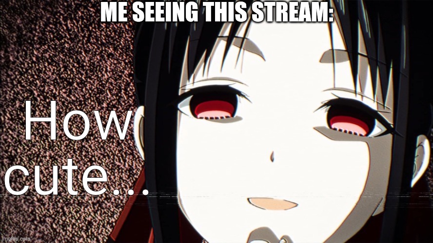 How cute... | ME SEEING THIS STREAM:; How cute... | image tagged in how cute | made w/ Imgflip meme maker