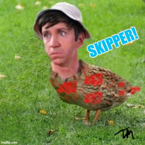 Its Gilliduck~ And Thats Meme~ | SKIPPER! | image tagged in gilliduck,gilligan the duck man can | made w/ Imgflip meme maker