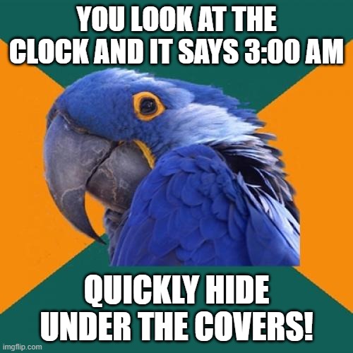 Paranoid Parrot | YOU LOOK AT THE CLOCK AND IT SAYS 3:00 AM; QUICKLY HIDE UNDER THE COVERS! | image tagged in memes,paranoid parrot | made w/ Imgflip meme maker