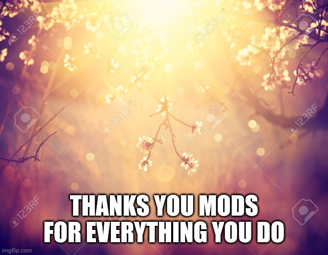 Thank you Mods: Link of all the mods in the comments. So you can say thanks to them too. | THANKS YOU MODS FOR EVERYTHING YOU DO | image tagged in flowers,thank you mods,you're the best | made w/ Imgflip meme maker
